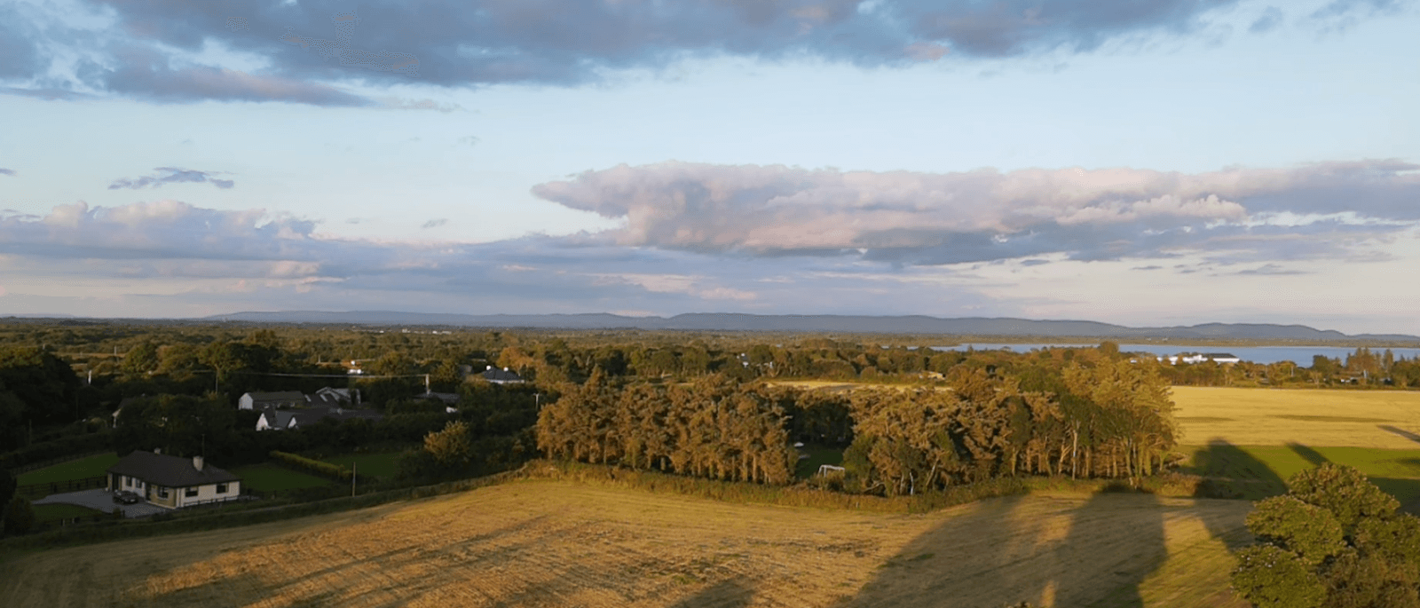Solar Panels for Irish Farms: Costs, Grants and What to Expect
